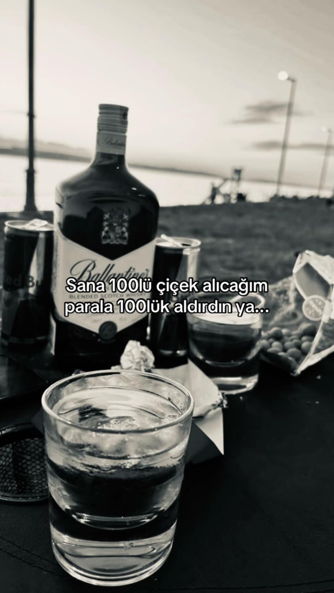 @🕊️