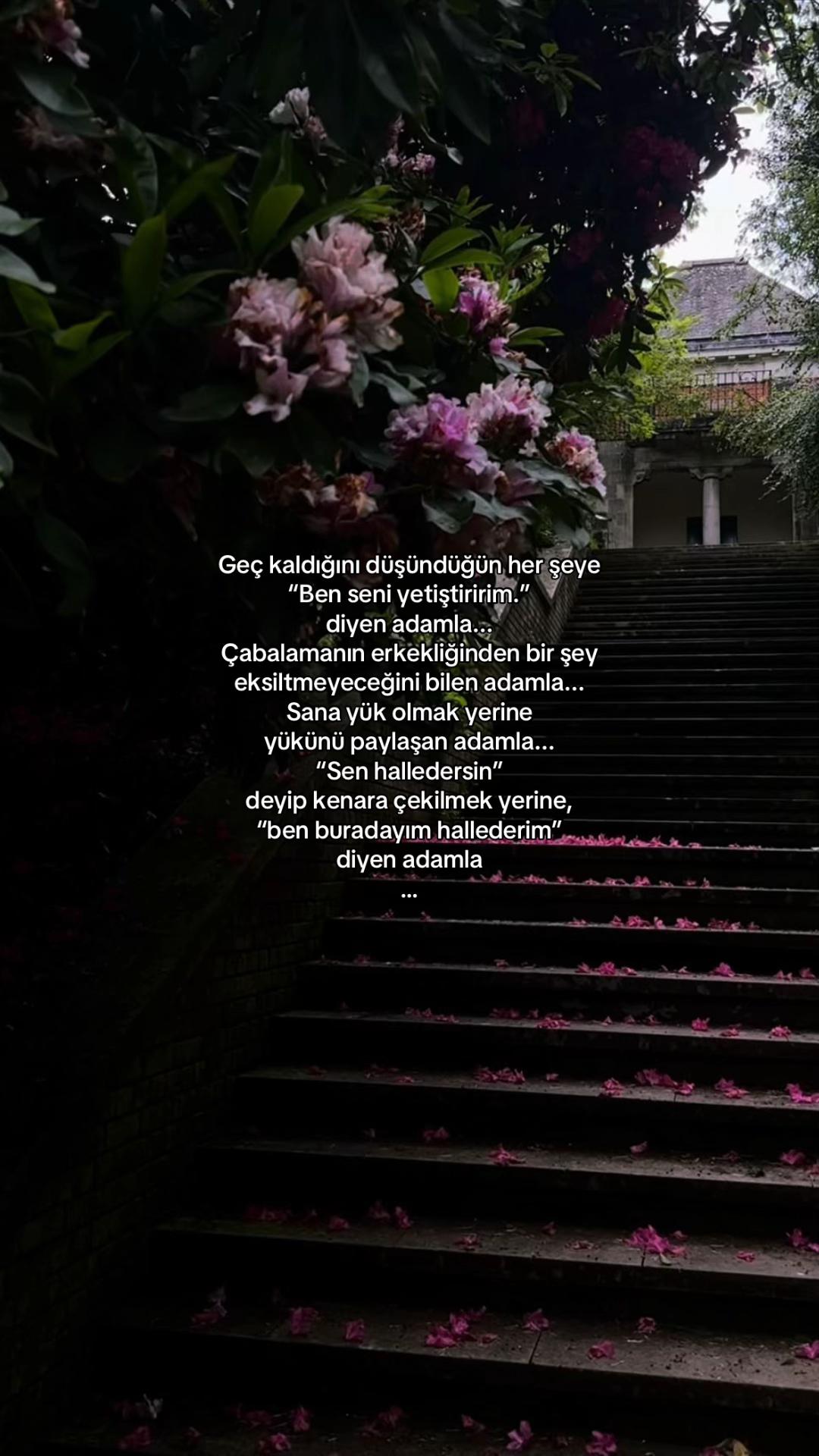 @𝓔𝓵𝓲𝓯