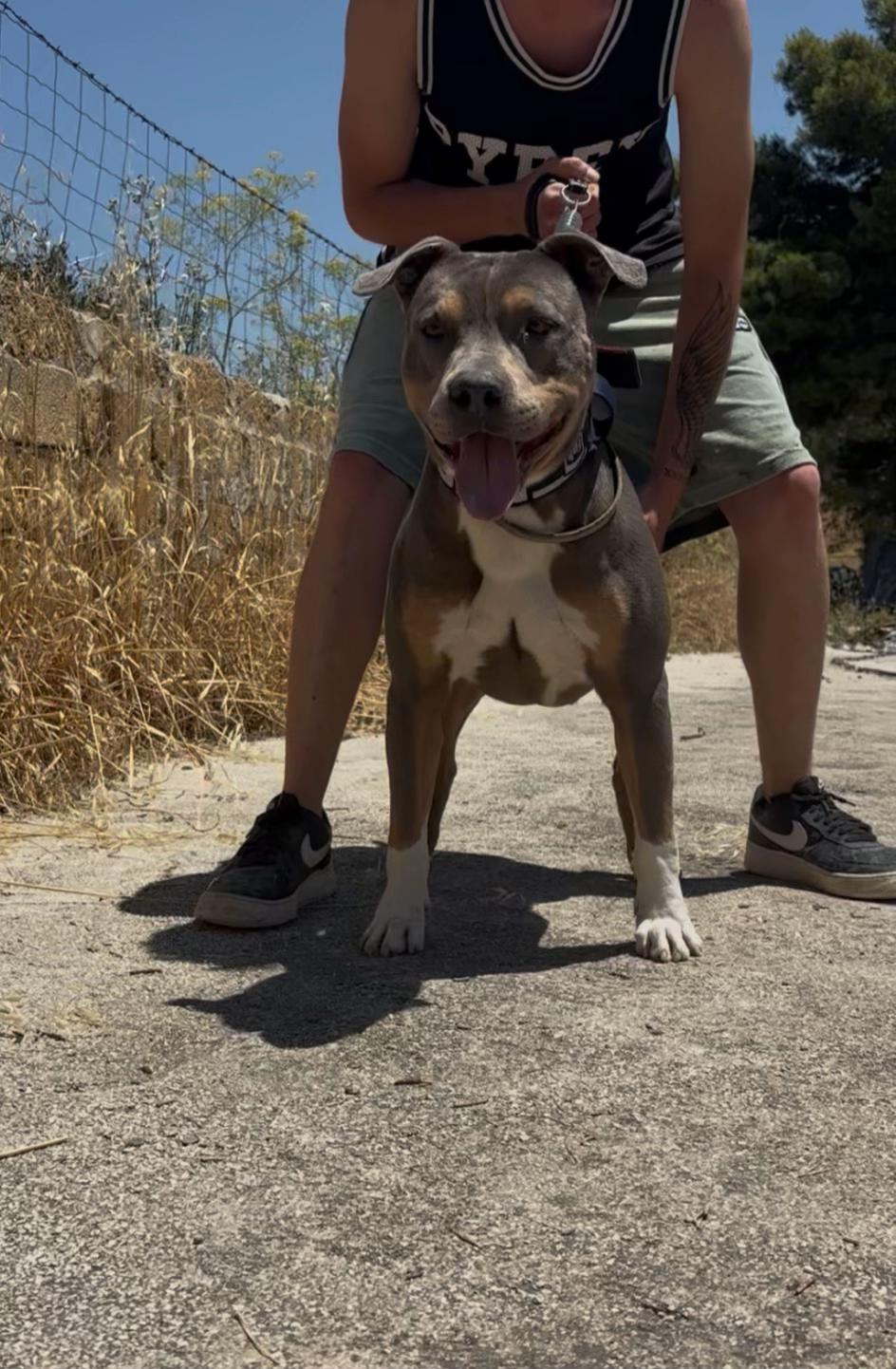 @The gods of the valley🏛️🐾