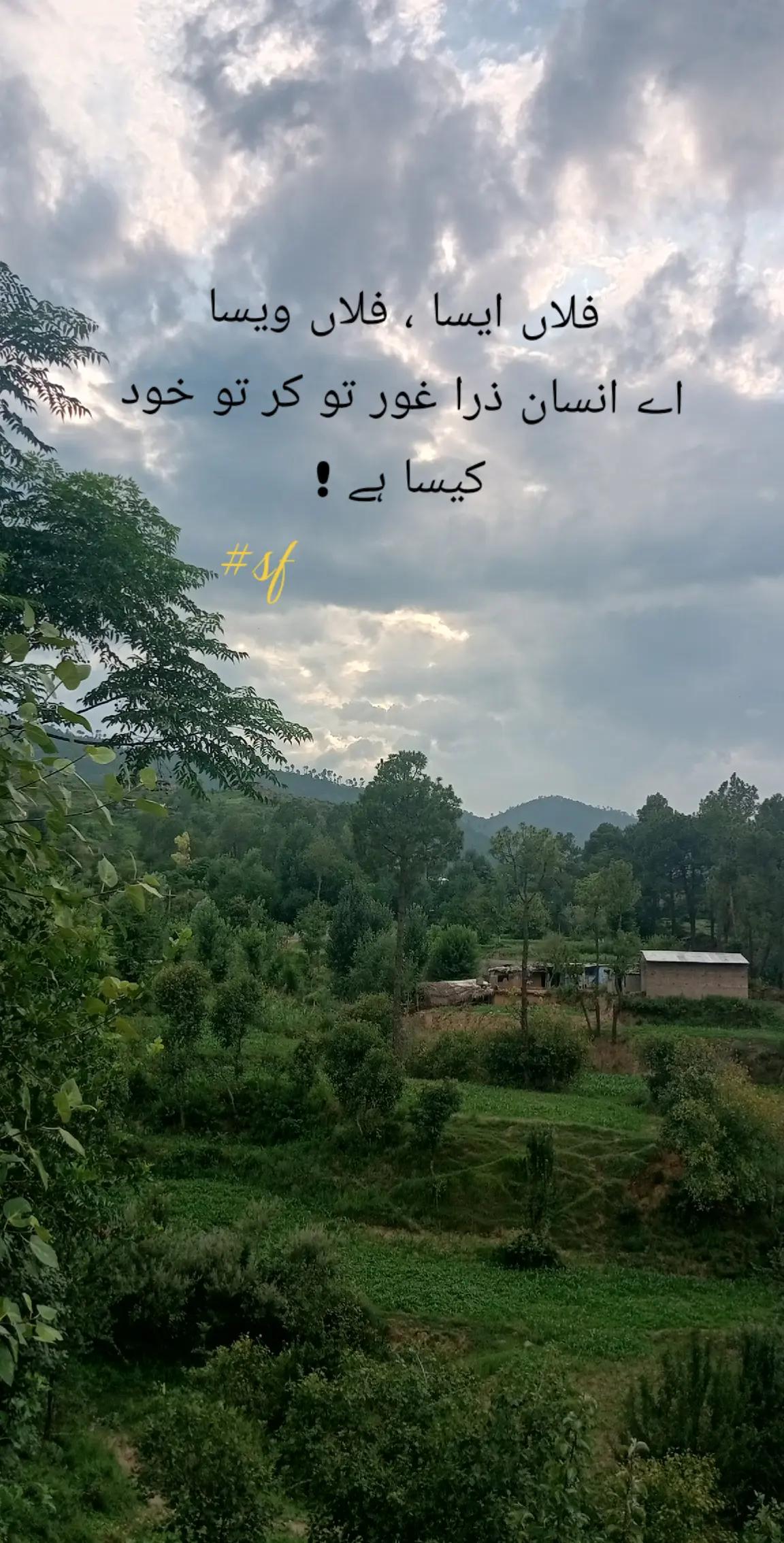 @S.Fiza Sheraz ✨