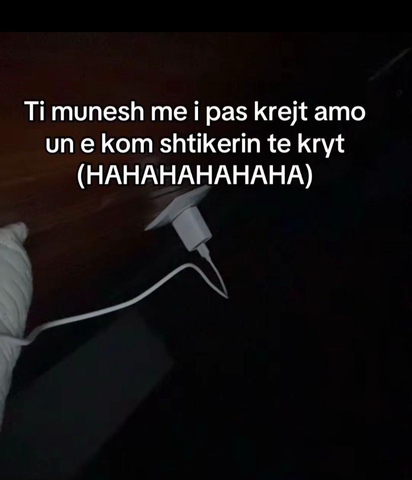 @Ardit𓃭