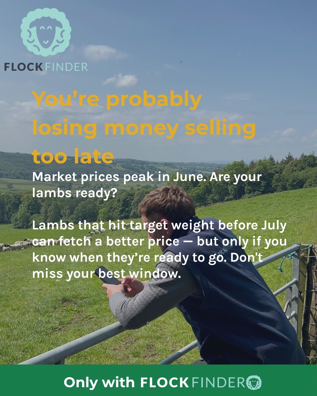 @FlockFinder