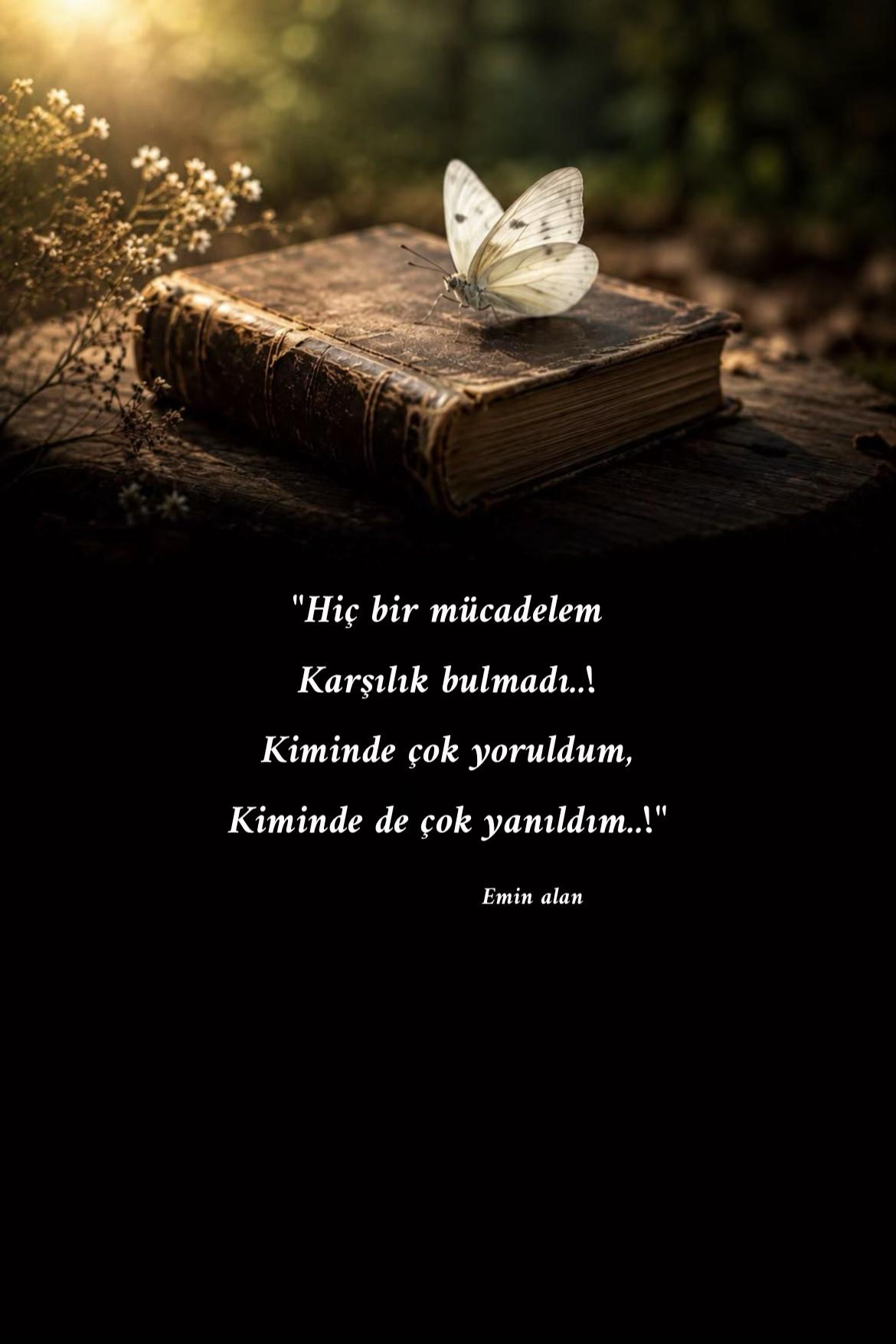 @Emin Alan