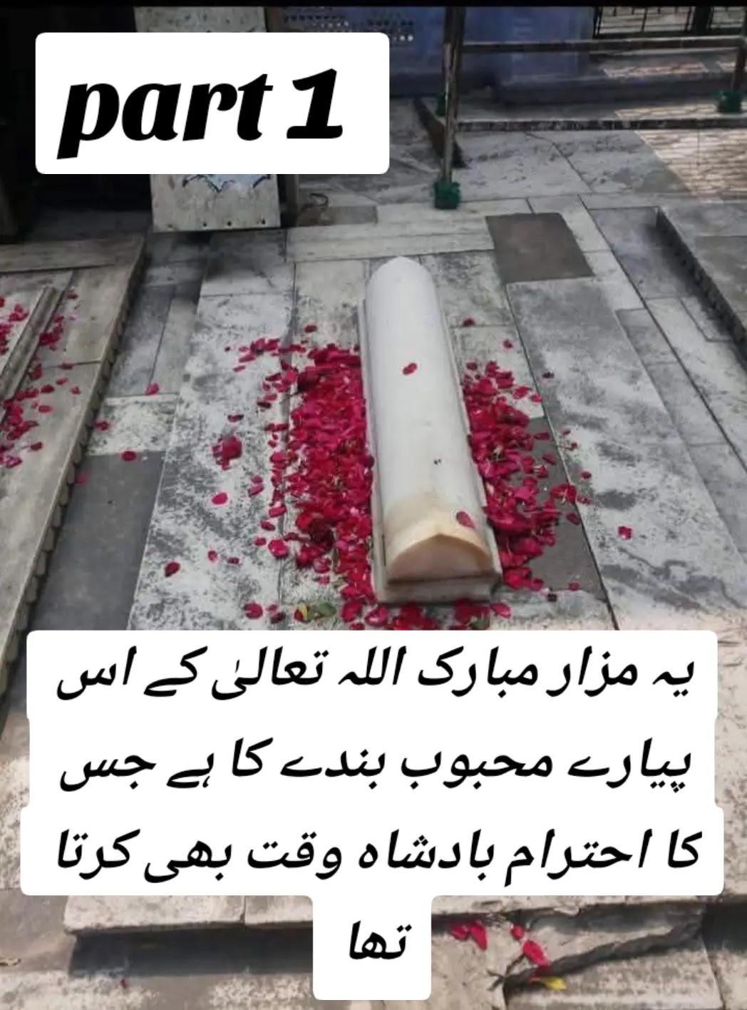 @syedzafaramin