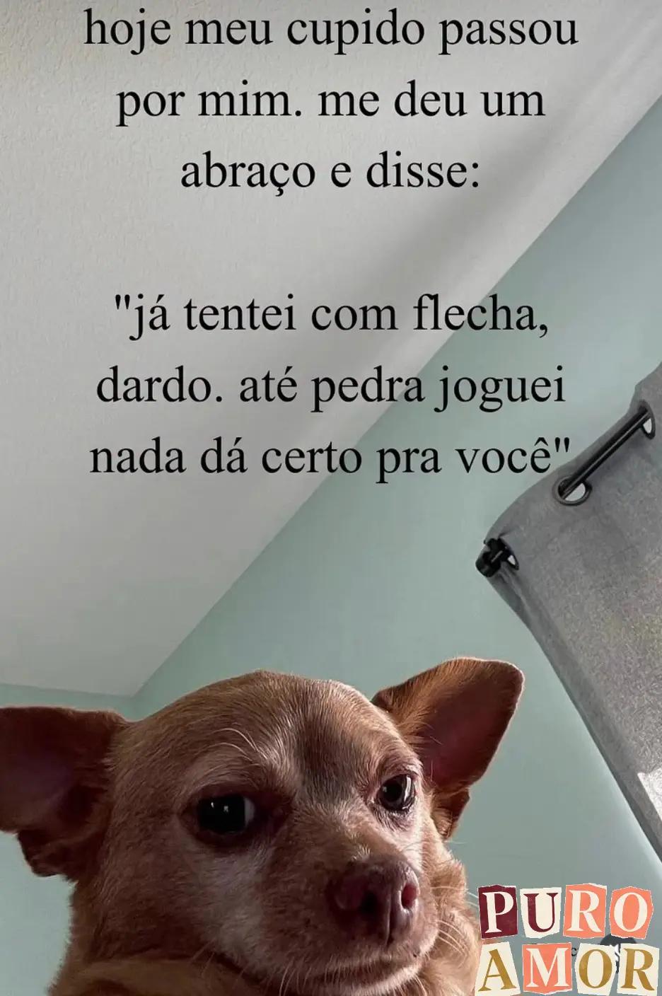 @MARCOS 🤑
