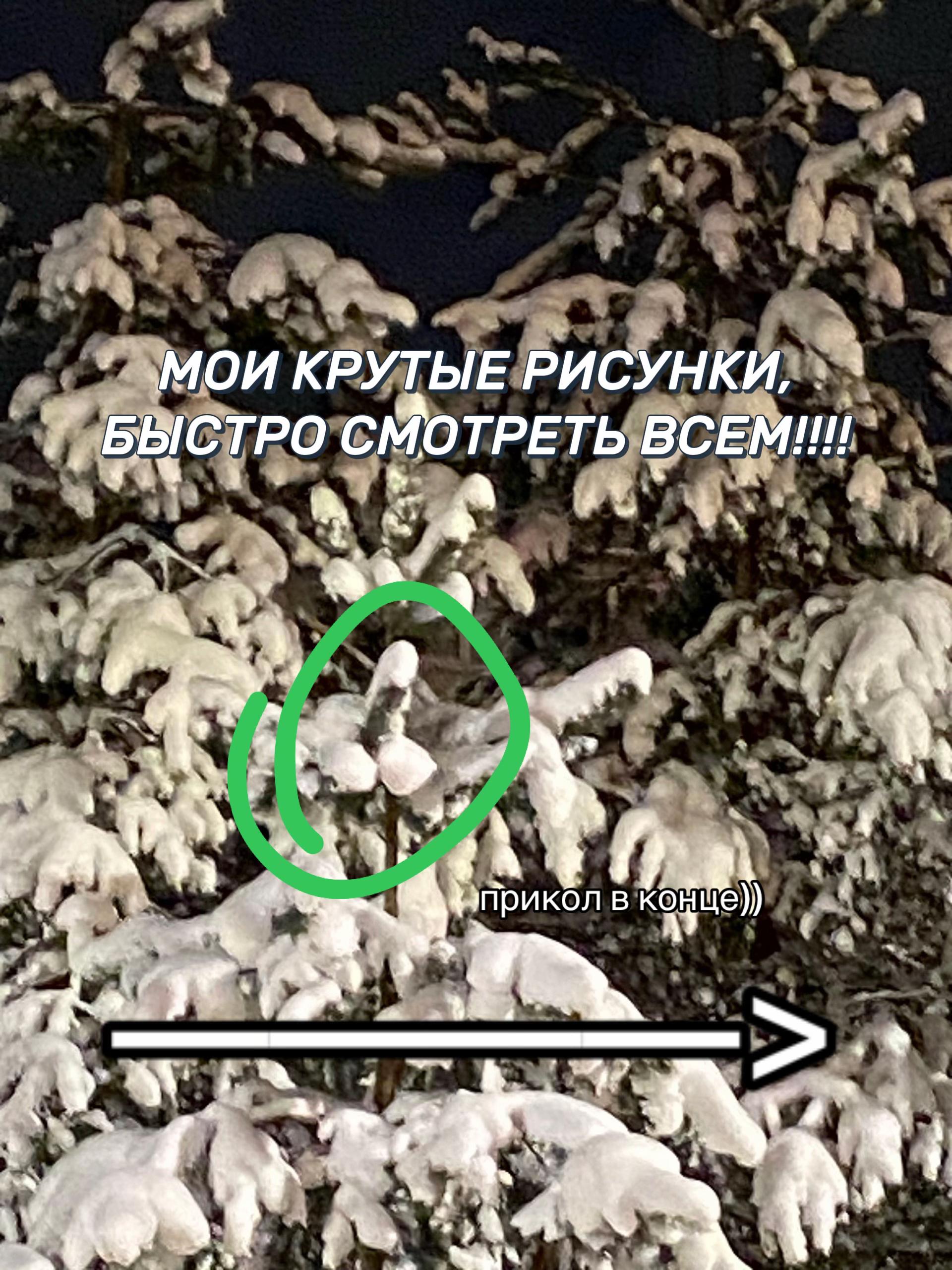 @сл, Миам