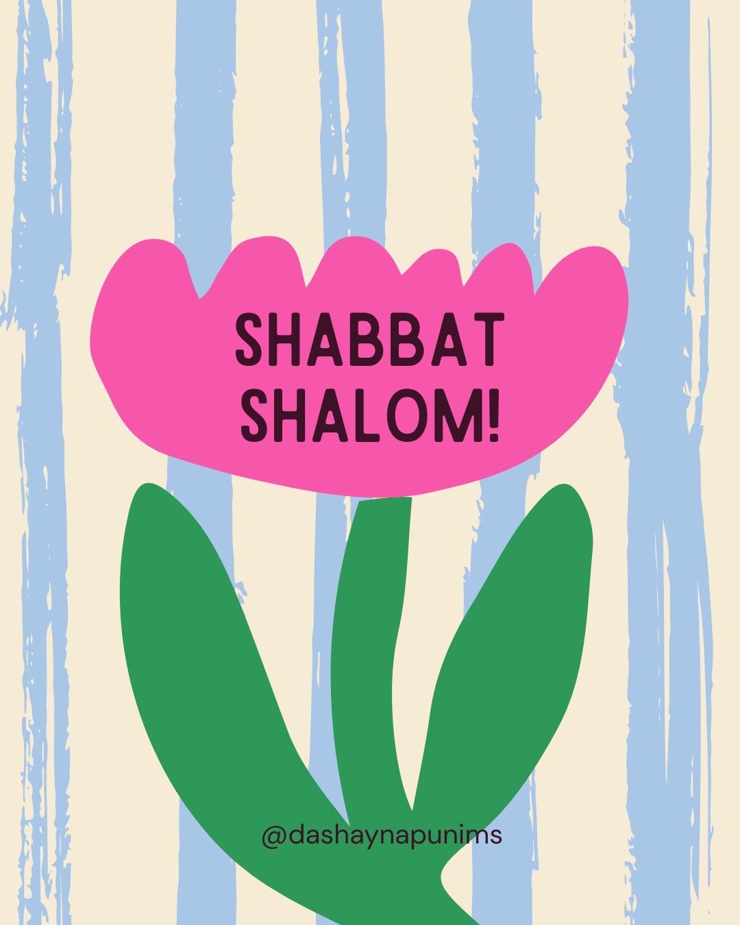 @Da Shayna Punims | Jewish swag