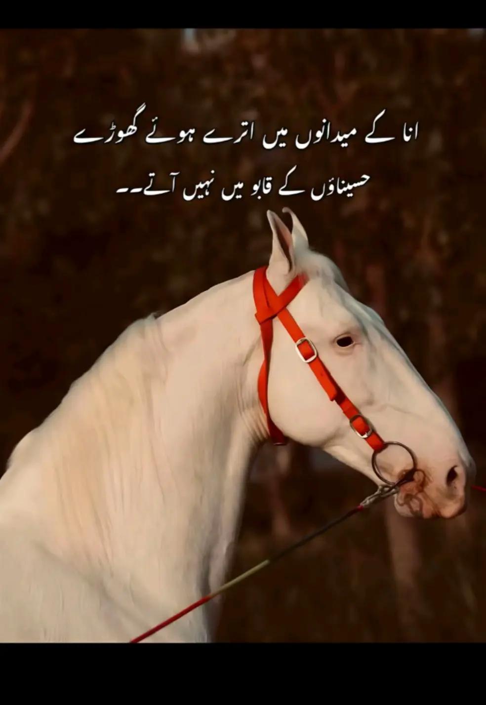 @KHOKHER QUEEN 👑 296 (◕ᴗ◕✿)