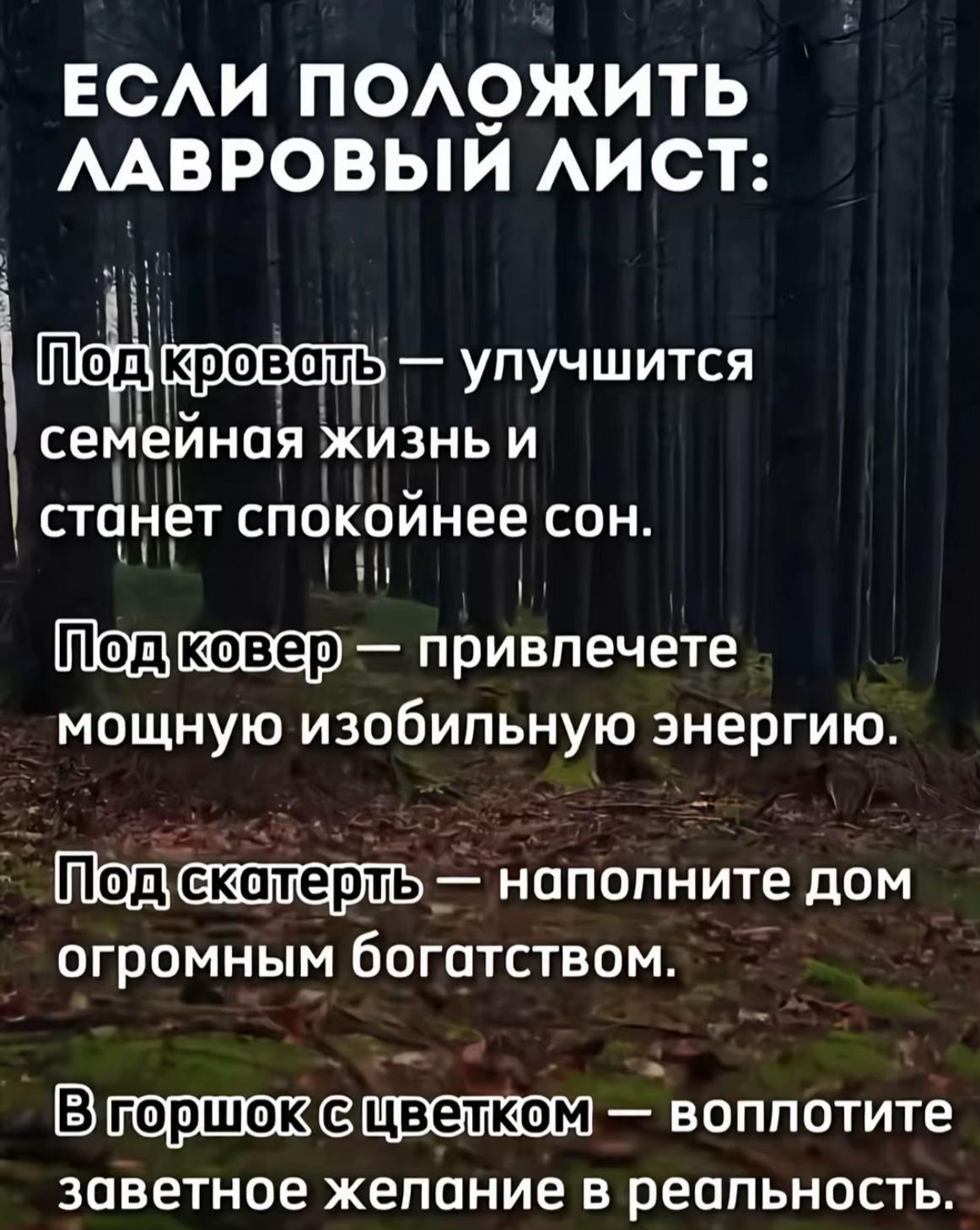 @gadalkaruzi