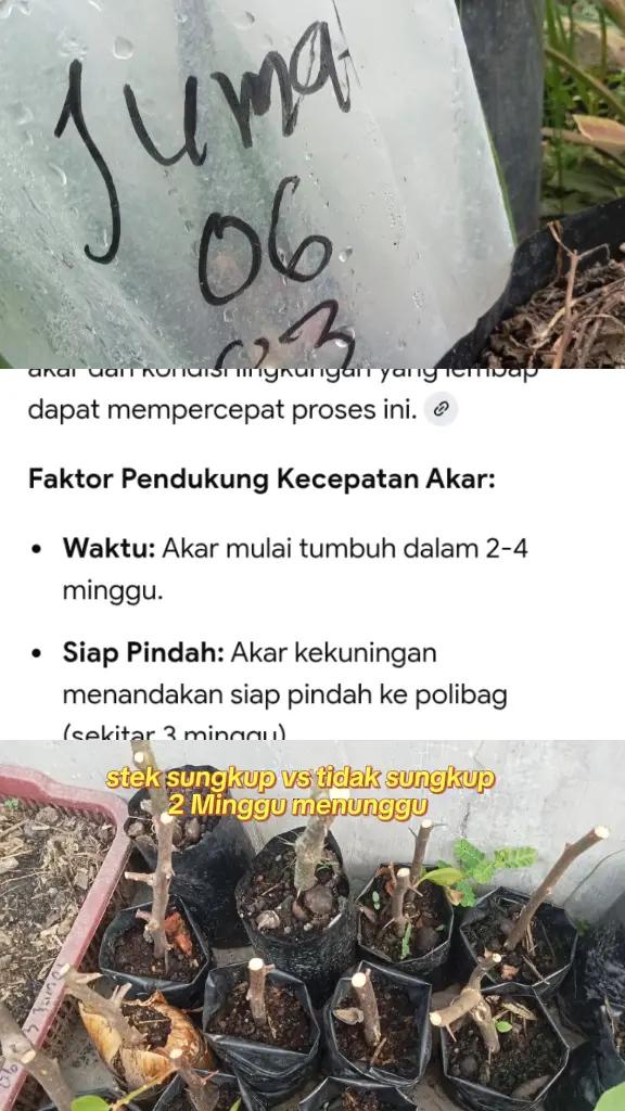 @El dedy sihite