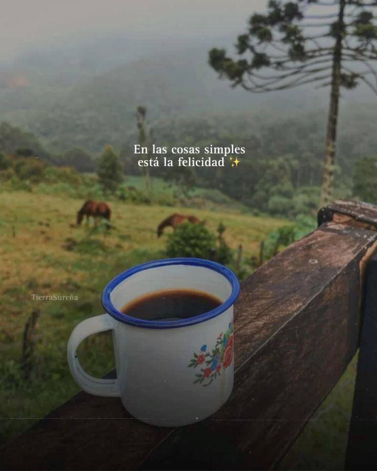 @Andrés Narváez Yanez