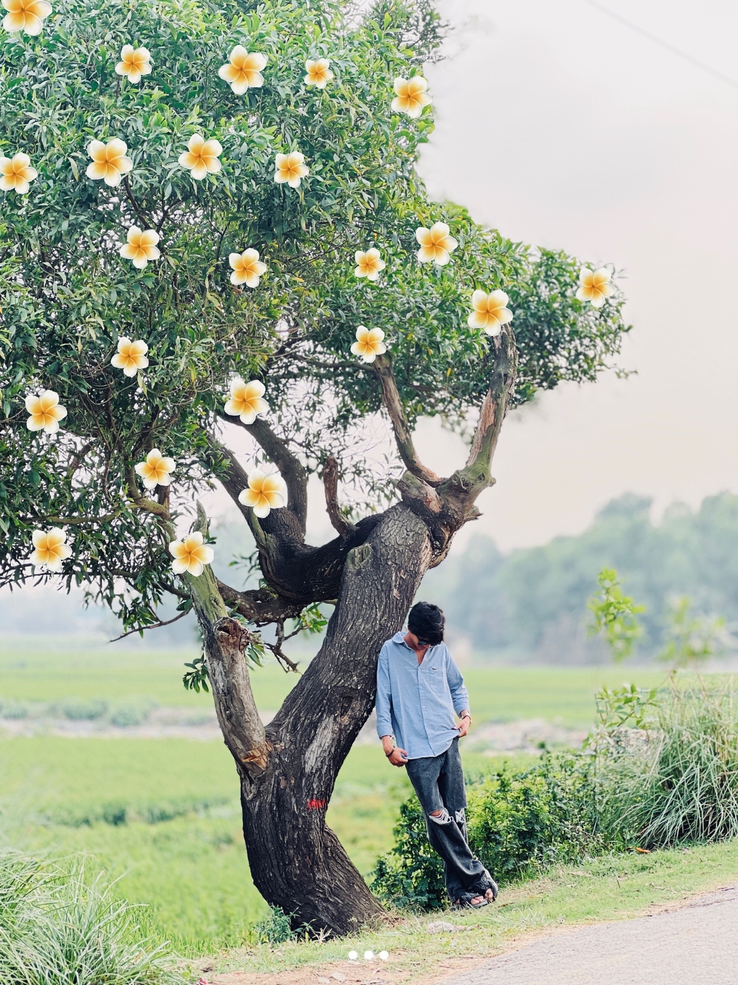 @:𝐡𝐞𝐫_𝐧𝐚𝐱𝐮 