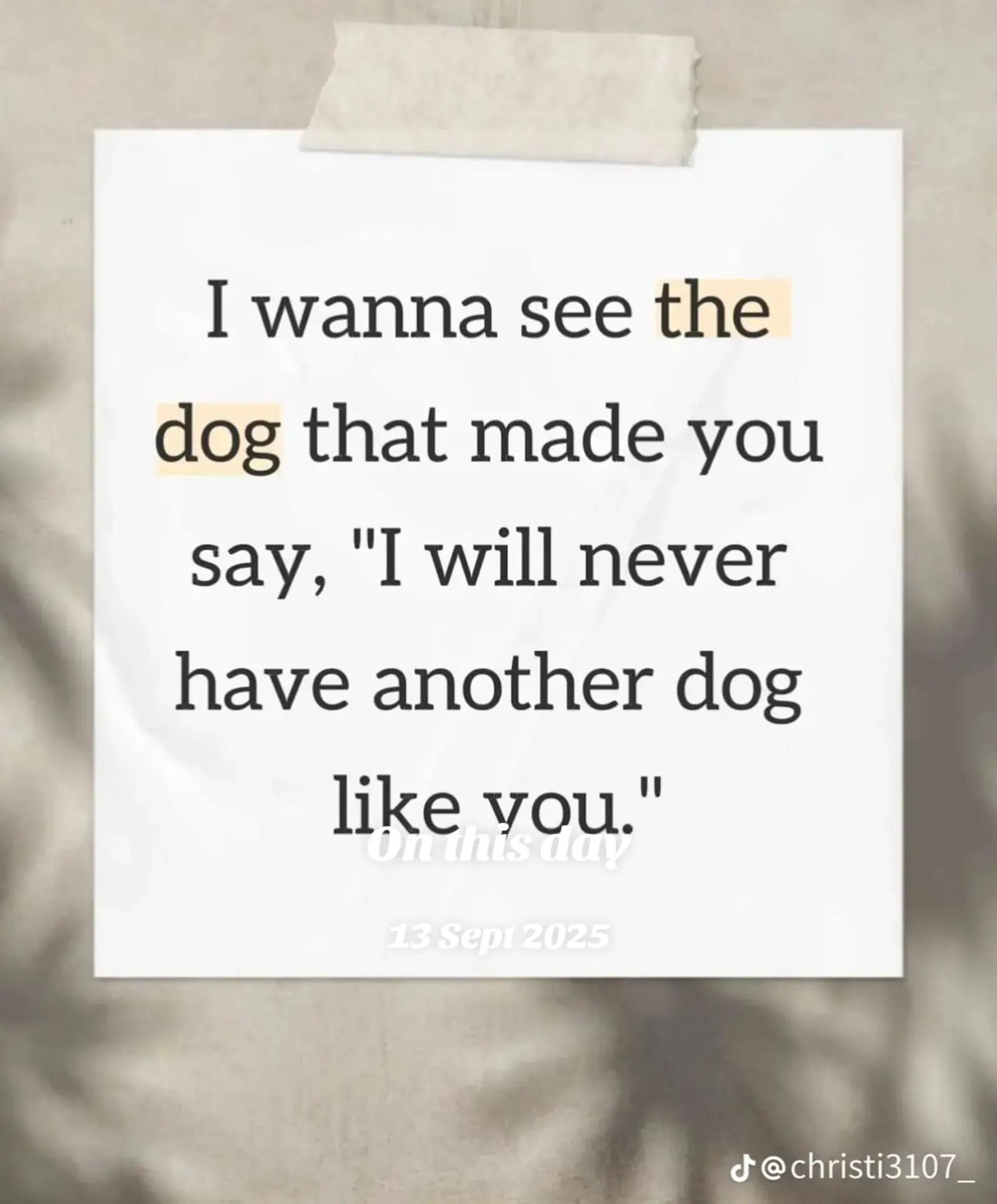 @🇬🇧❤️MastiffMum🐕💙🇬🇧