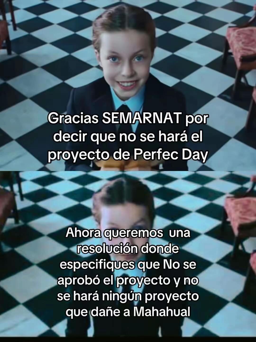 @Fátima Zavala