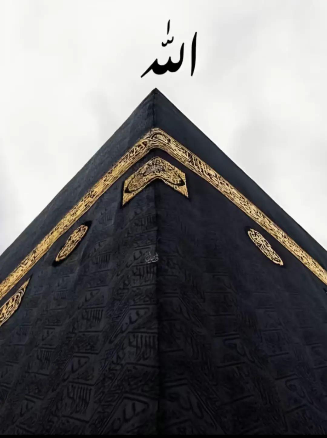 @HUMAIR. 46🐯🐯