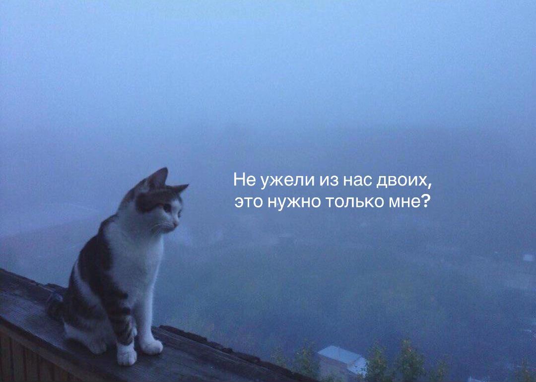 @🔒