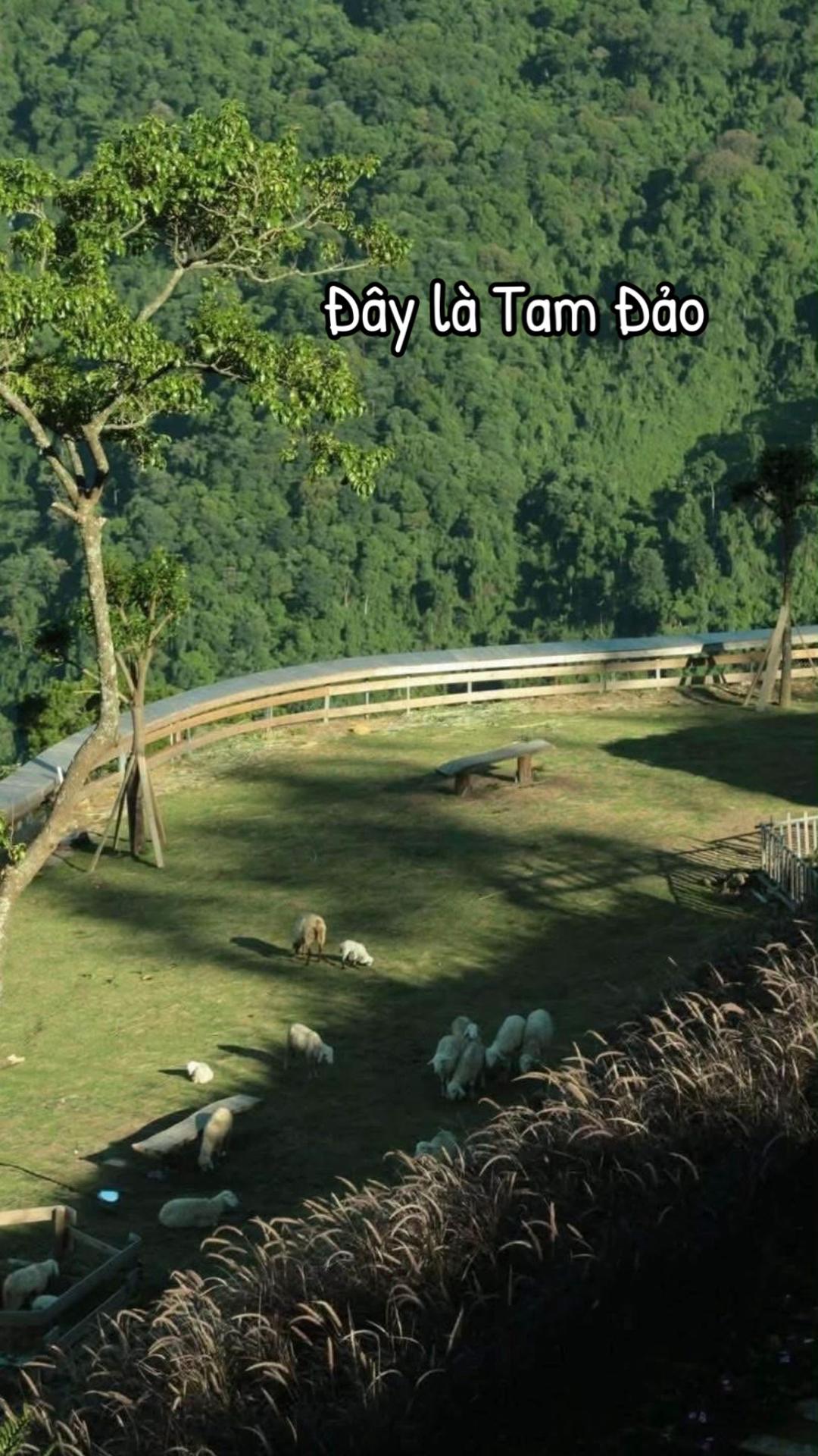 @Cùng Rùa đi Tam Đảo