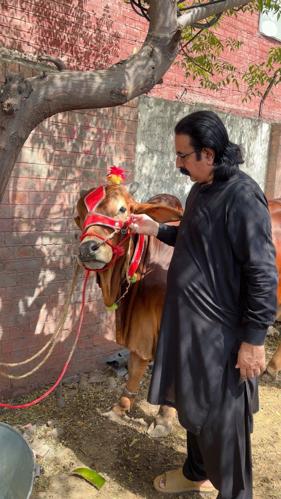 @Makhdoom Kashif shah