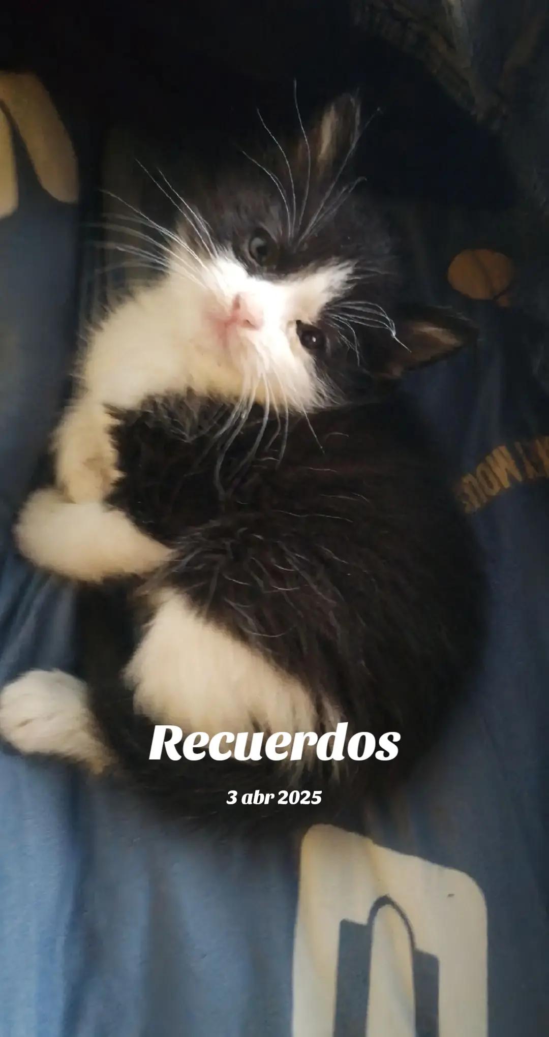 @migeposter