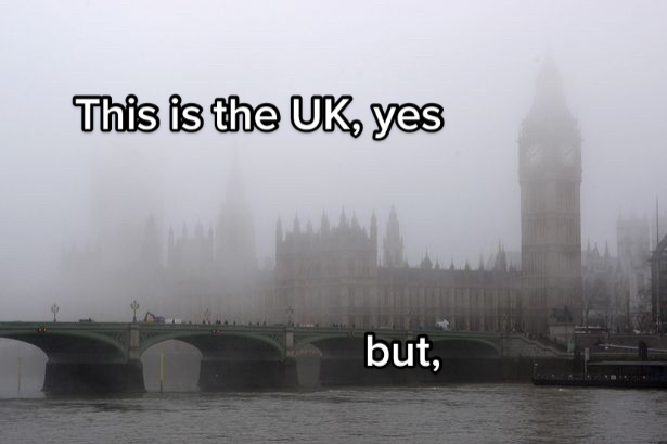 @harry 🎸🇬🇧