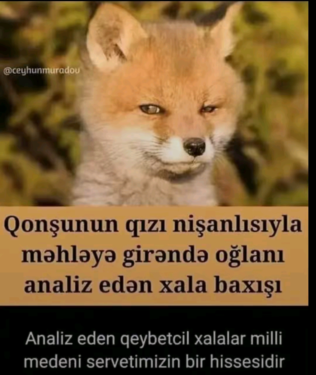 @aydin