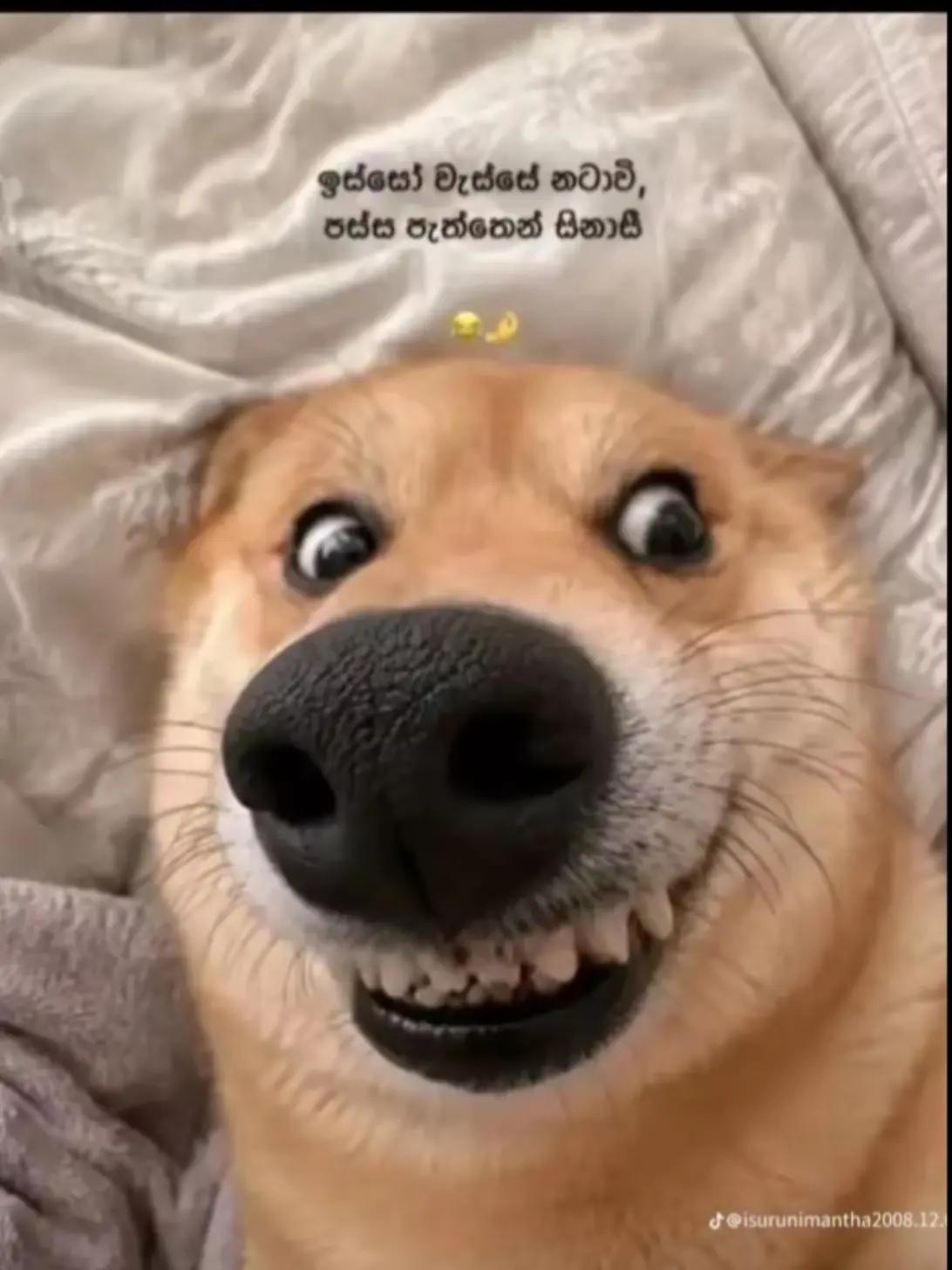 @𝗖𝘂𝘁𝗶𝘆𝘆𝘆𝘆𝘆𝘆😽🫀❤️🩹