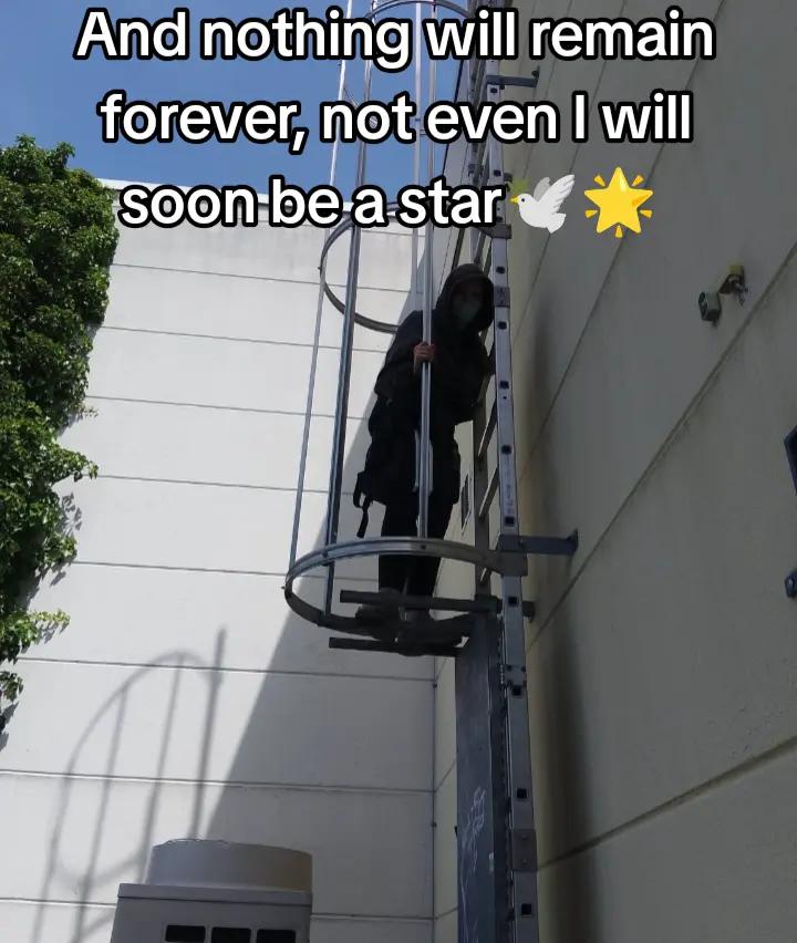 @𖤐𝓝𝓸𝓫𝓸𝓭𝔂𖤐