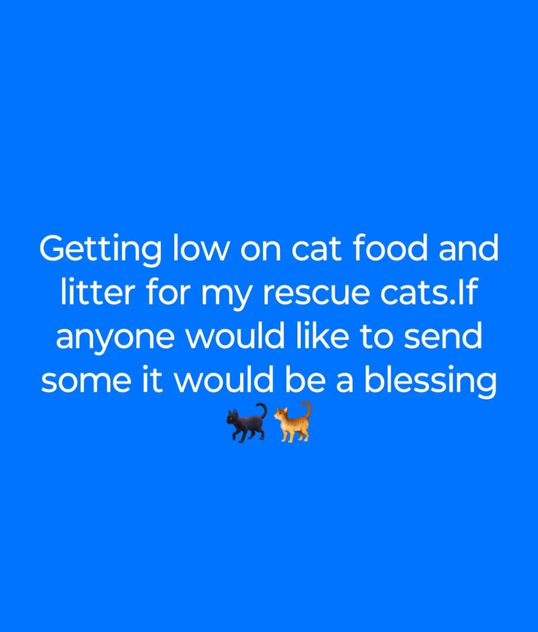 @Lisa C 🐱