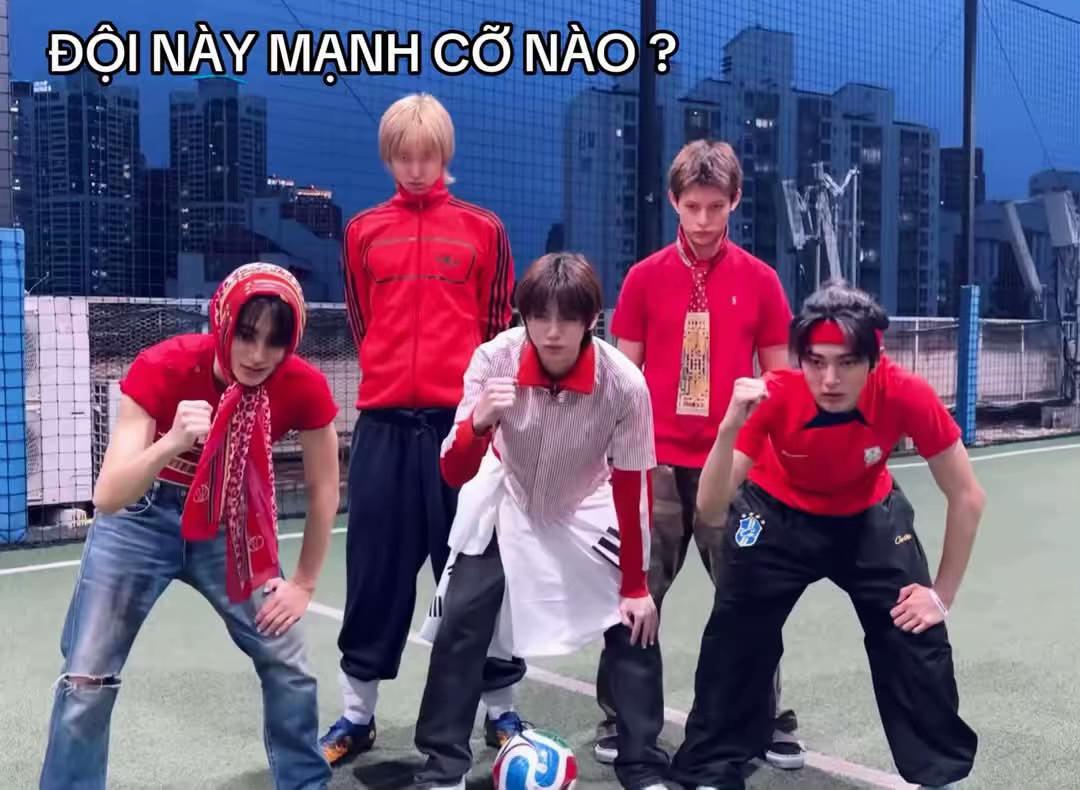 @Stand 5 chiếc quần tụt