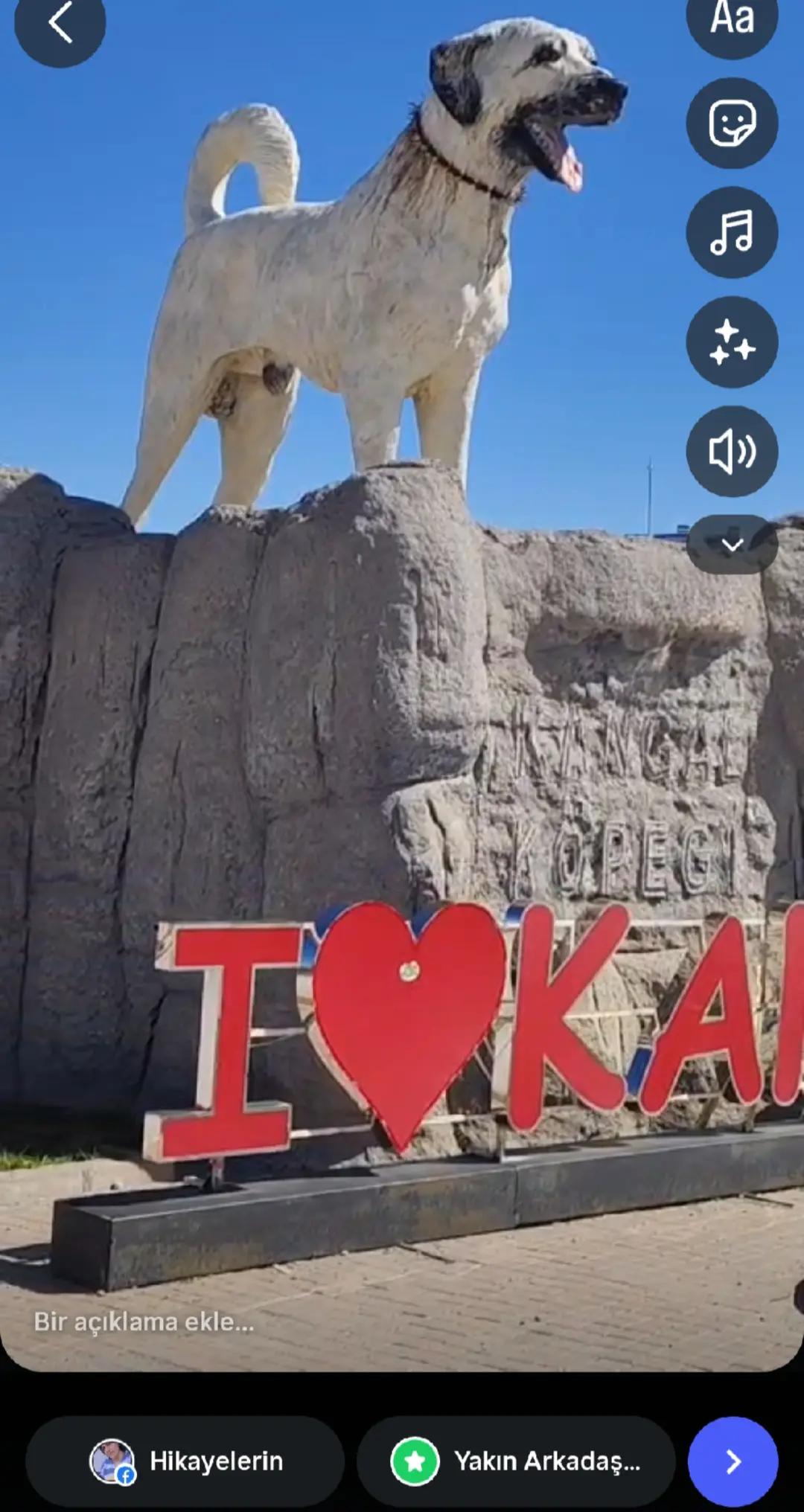 @kangallı bacılar