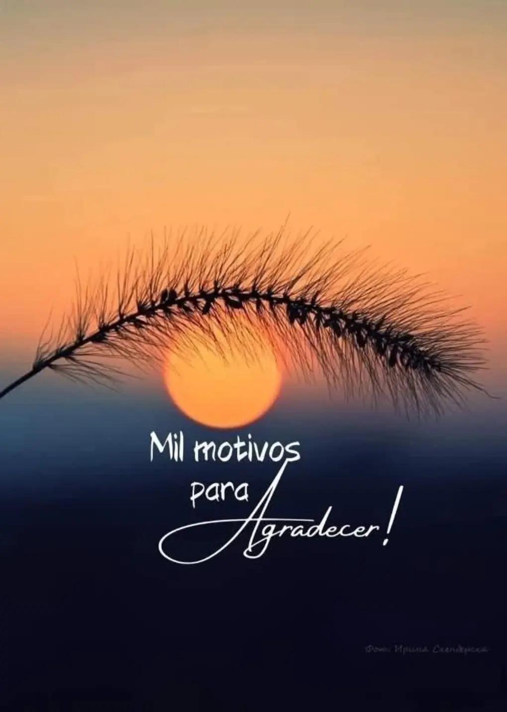 @Ingrid Moreno