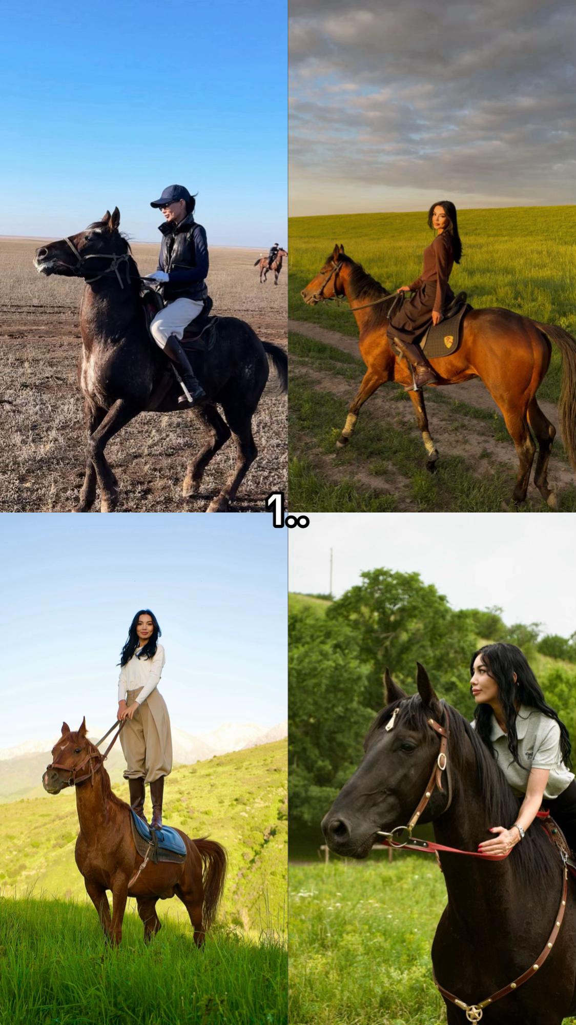 @NAZEKA🐎