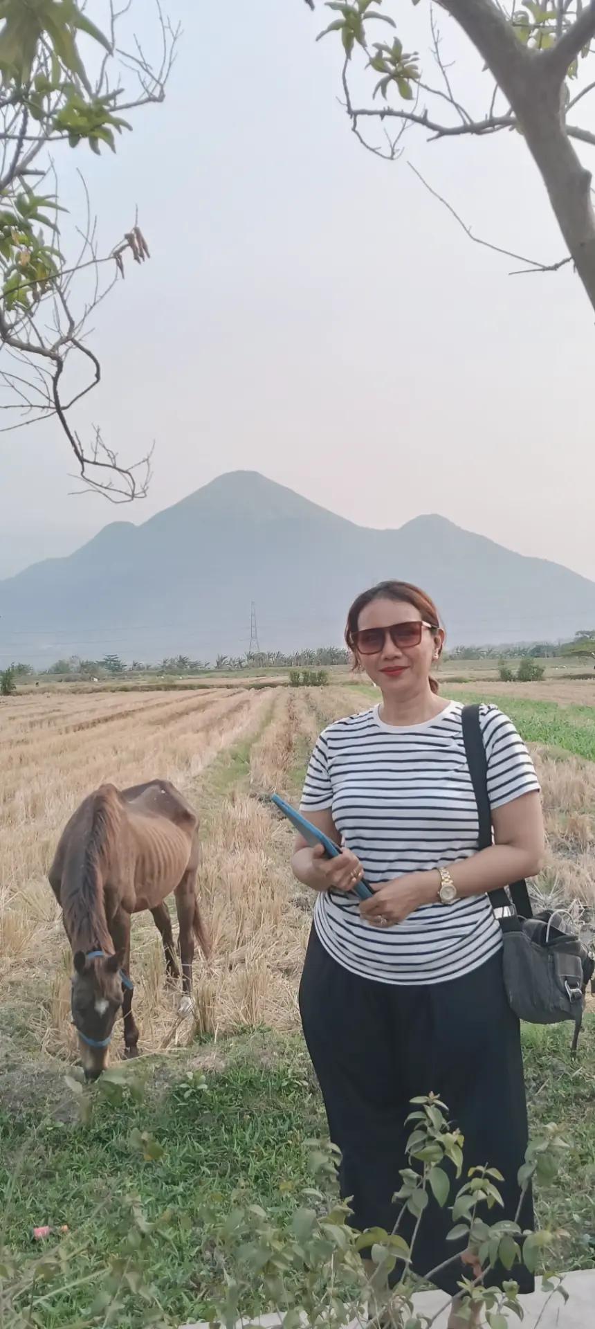 @ERWIKA 🇮🇩
