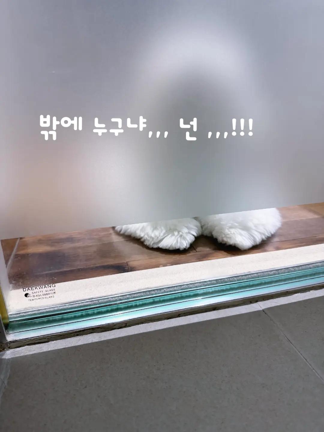 @루미보라