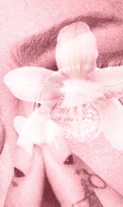 @ᗩᘻᗩᖻᗩ✰𖤐