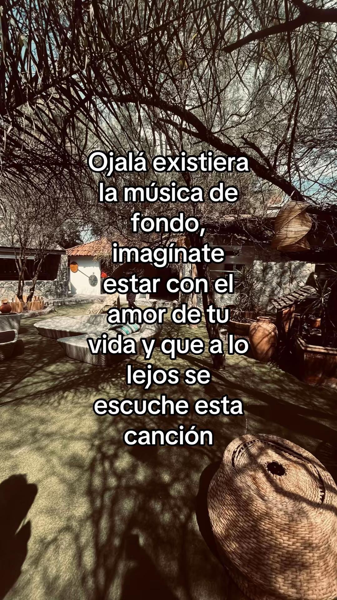 @ddraculq ۶ৎ