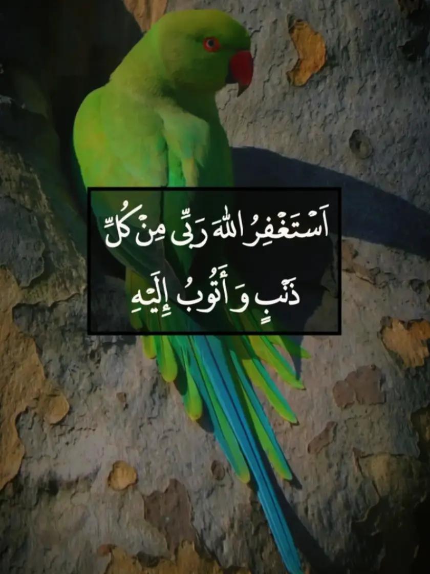 @@islamicvideotiktok341