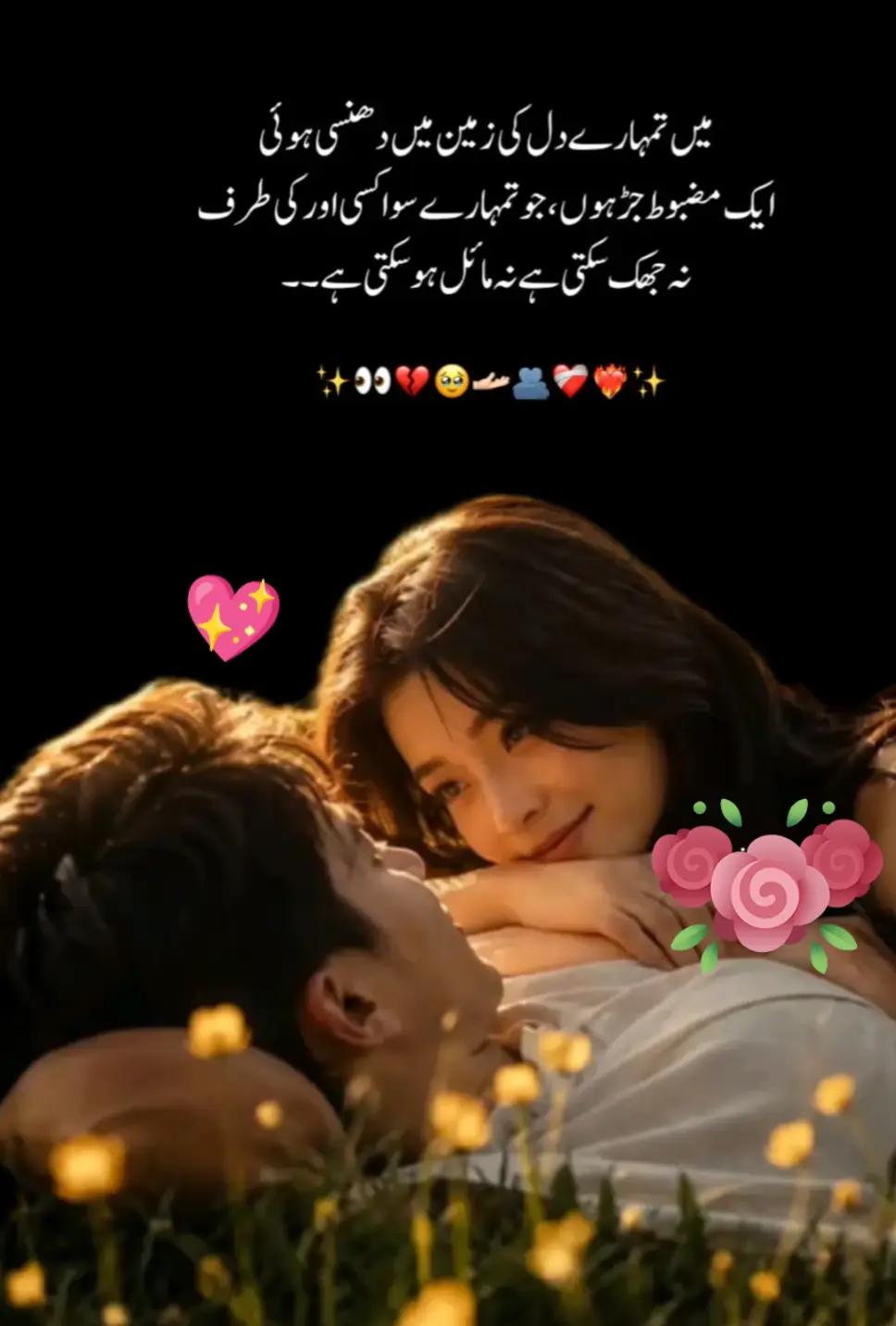 @Hassan Hussain💞