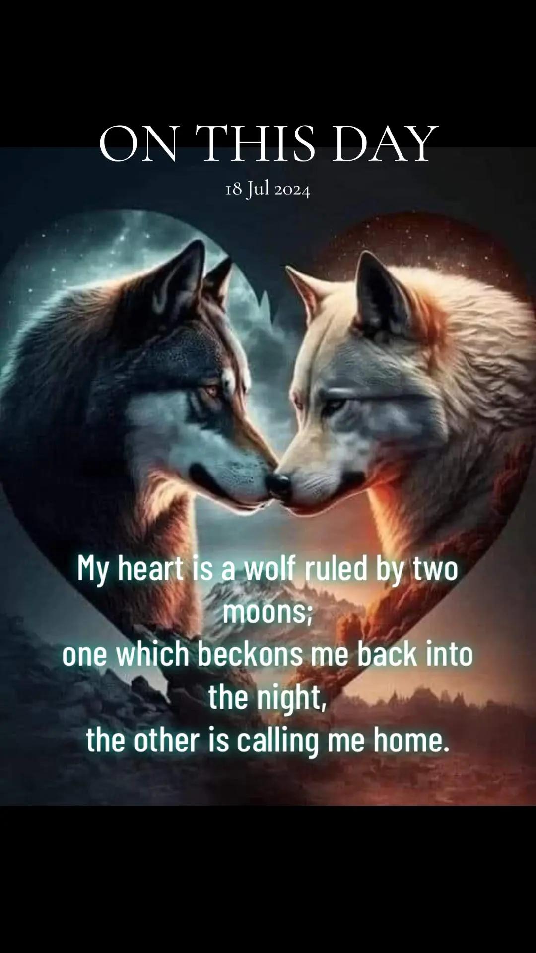 @Mr.wolf1111