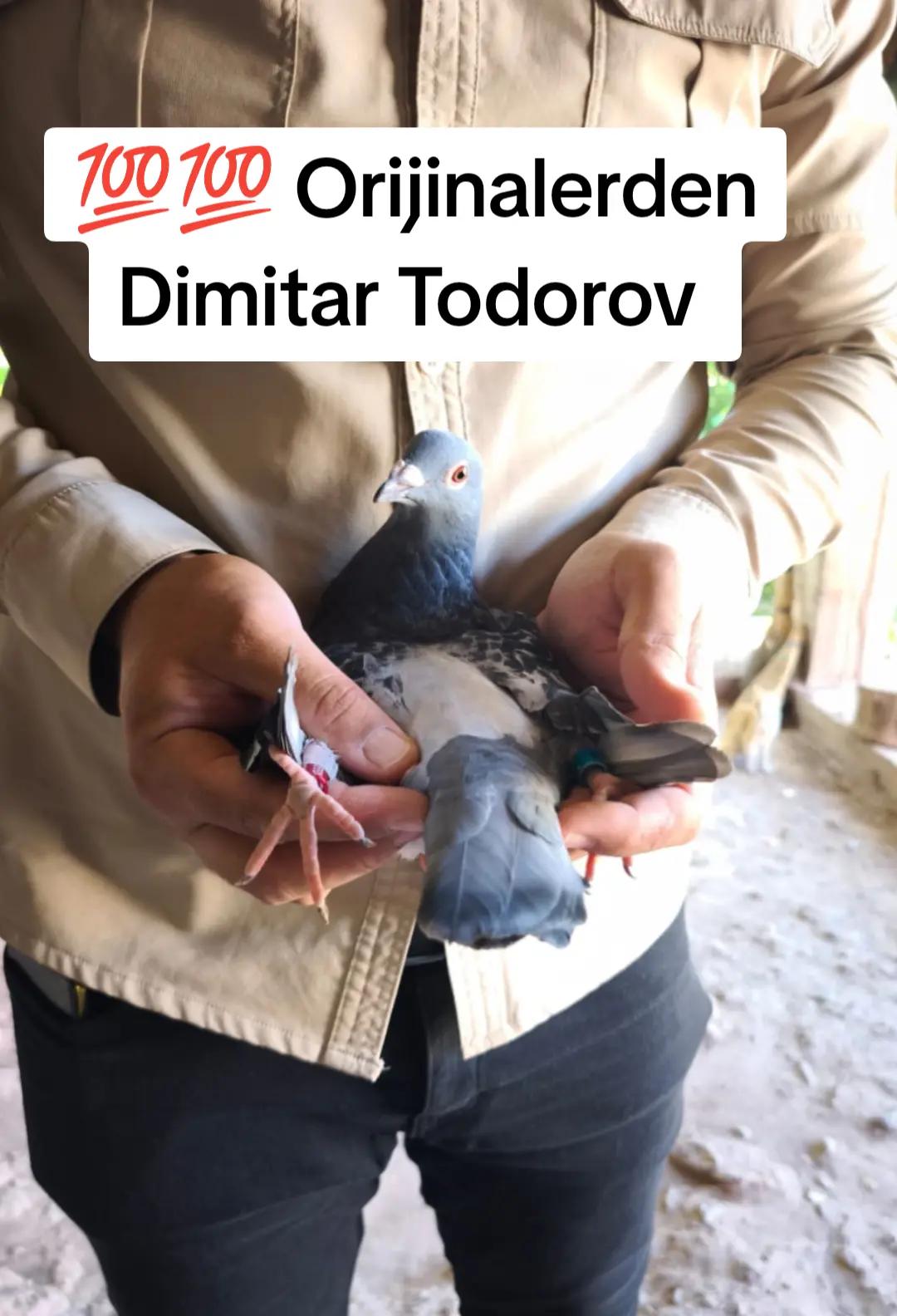 @YARIŞ POSTASI