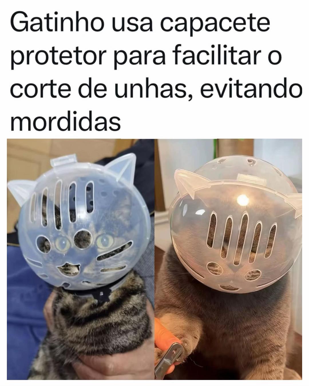 @Alfinetei