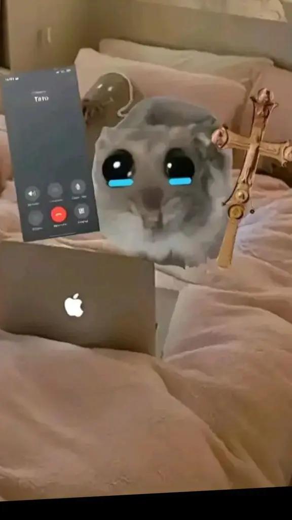 @Dylan
