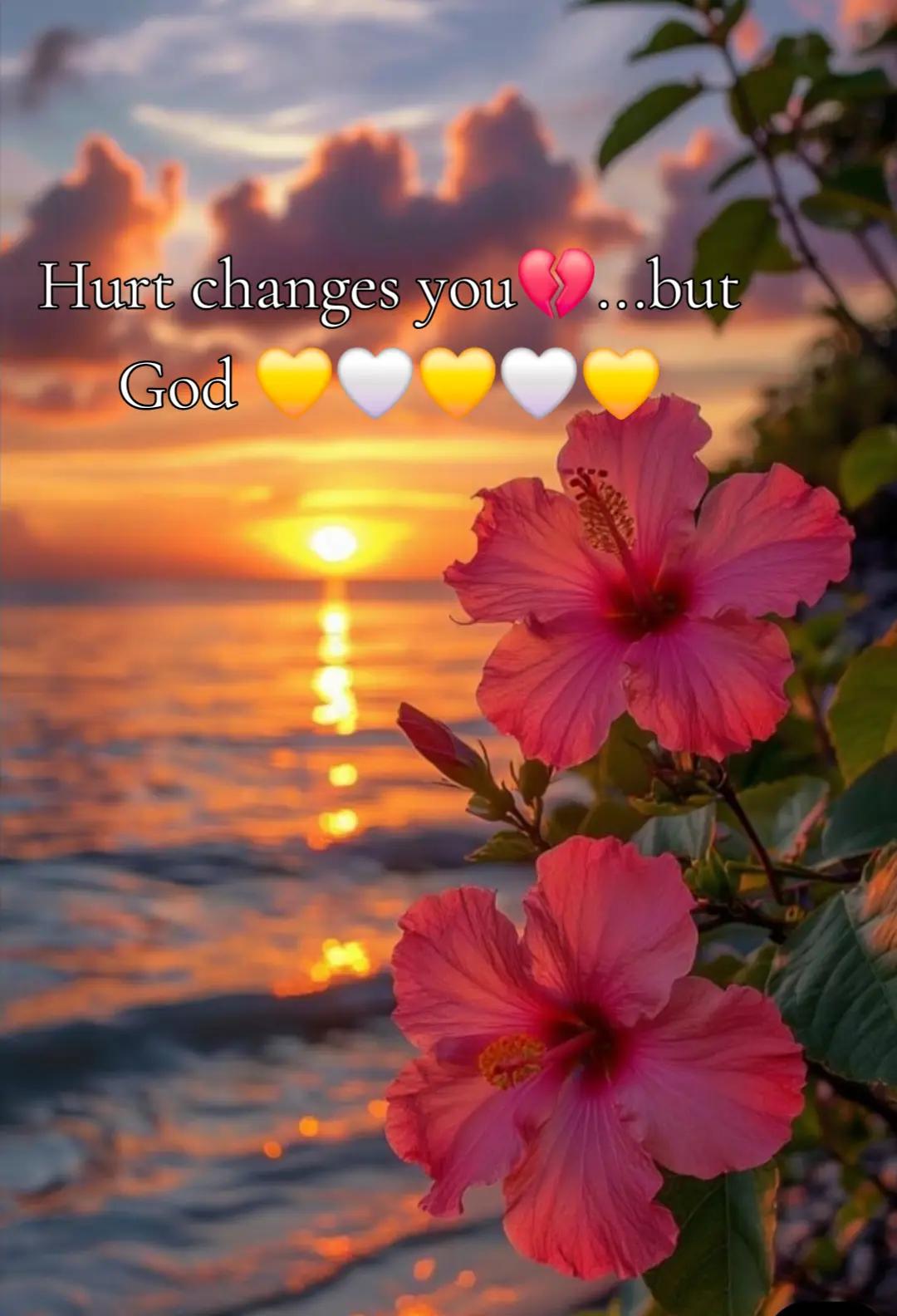 @Truboo❤
