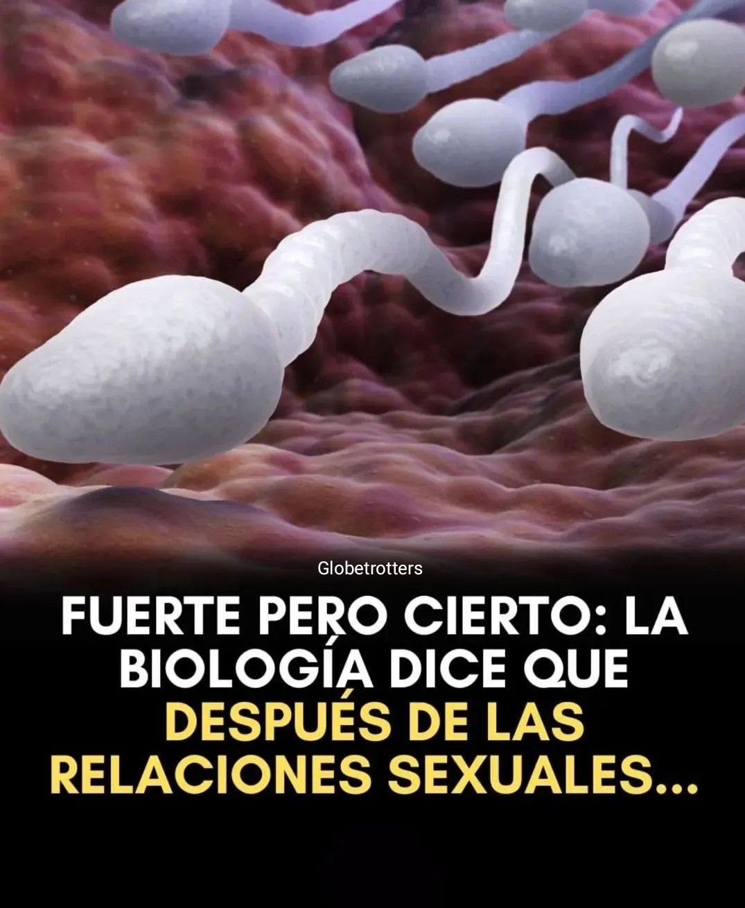 @Míster