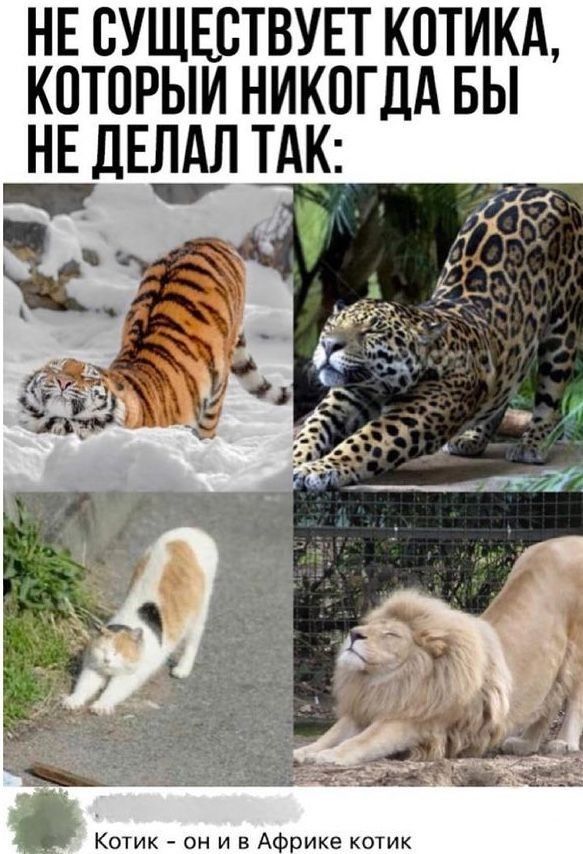@Ludmila B