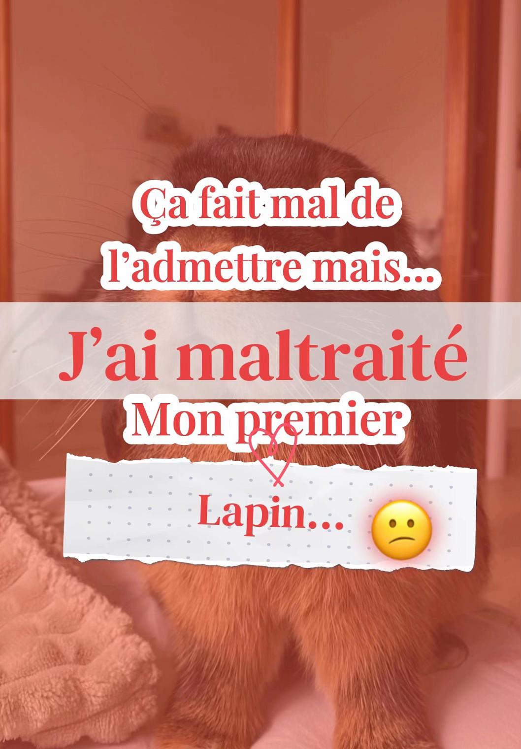 @Mes lapinouchs 🐰