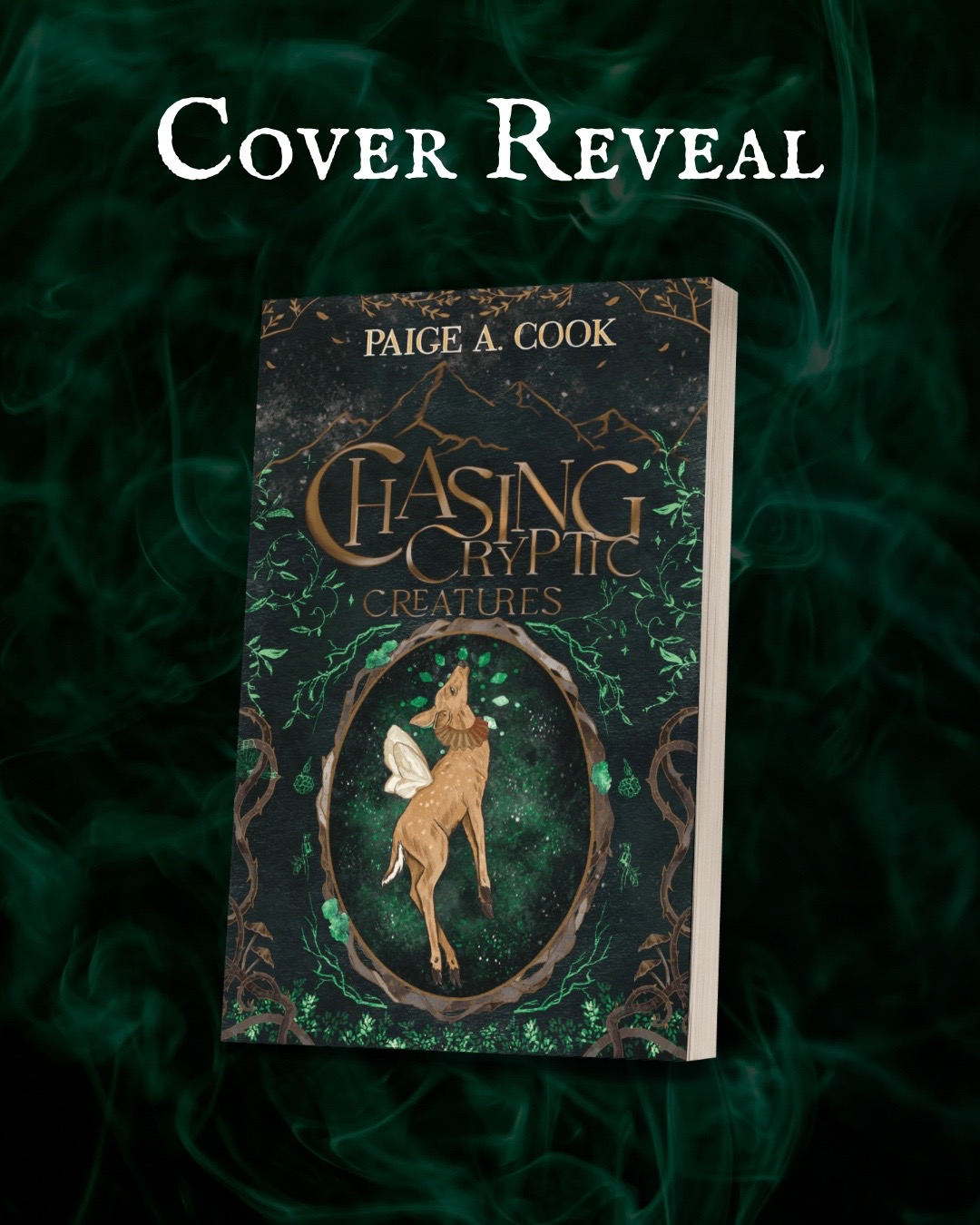 @Author Paige A. Cook