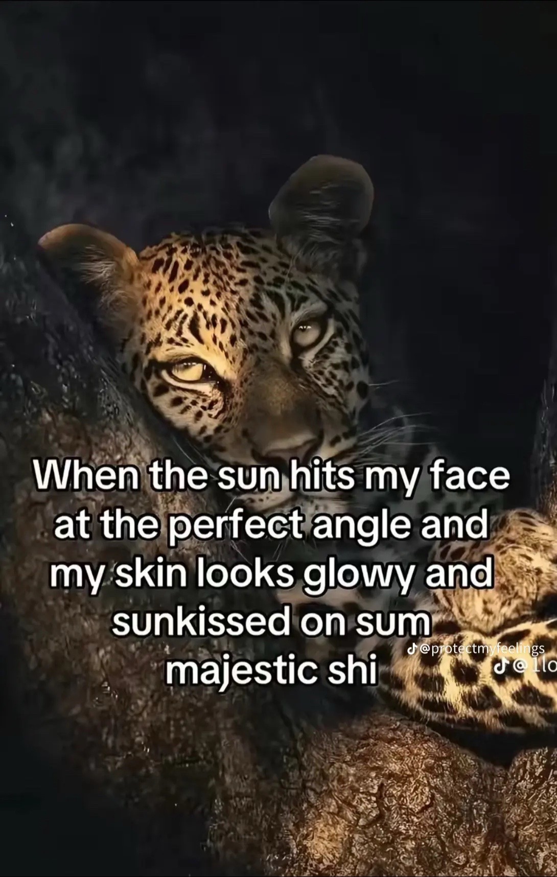 @lilniylaaa