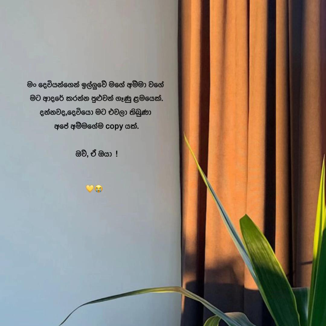 @𝗗𝗮𝗻𝘂𝗸𝗮 𝗦𝗵𝗲𝗵𝗮𝗻 ❤️🧿