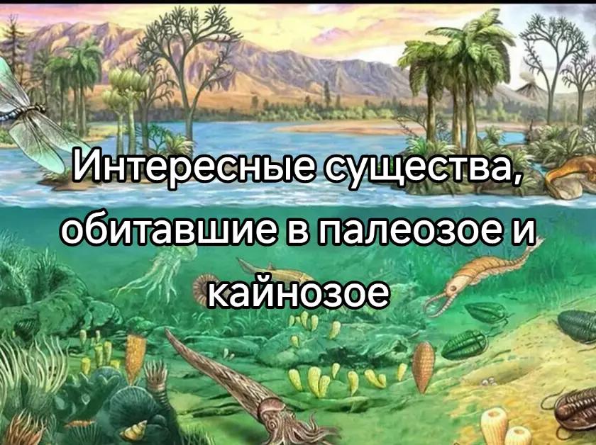 @Сендвич🕶